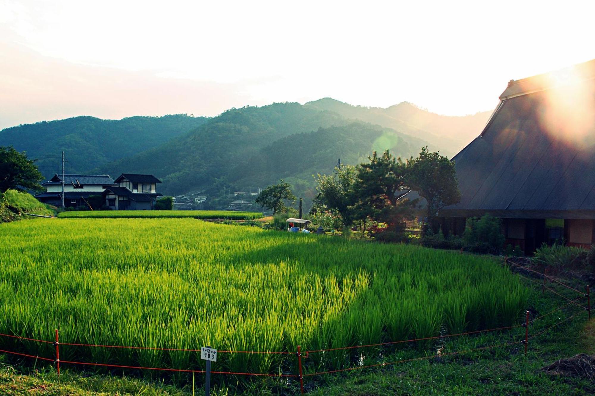 古民家の宿 ふるま家 Furumaya House Gastronomic Farmstay In Deep Kyoto Fukuchiyama Eksteriør billede